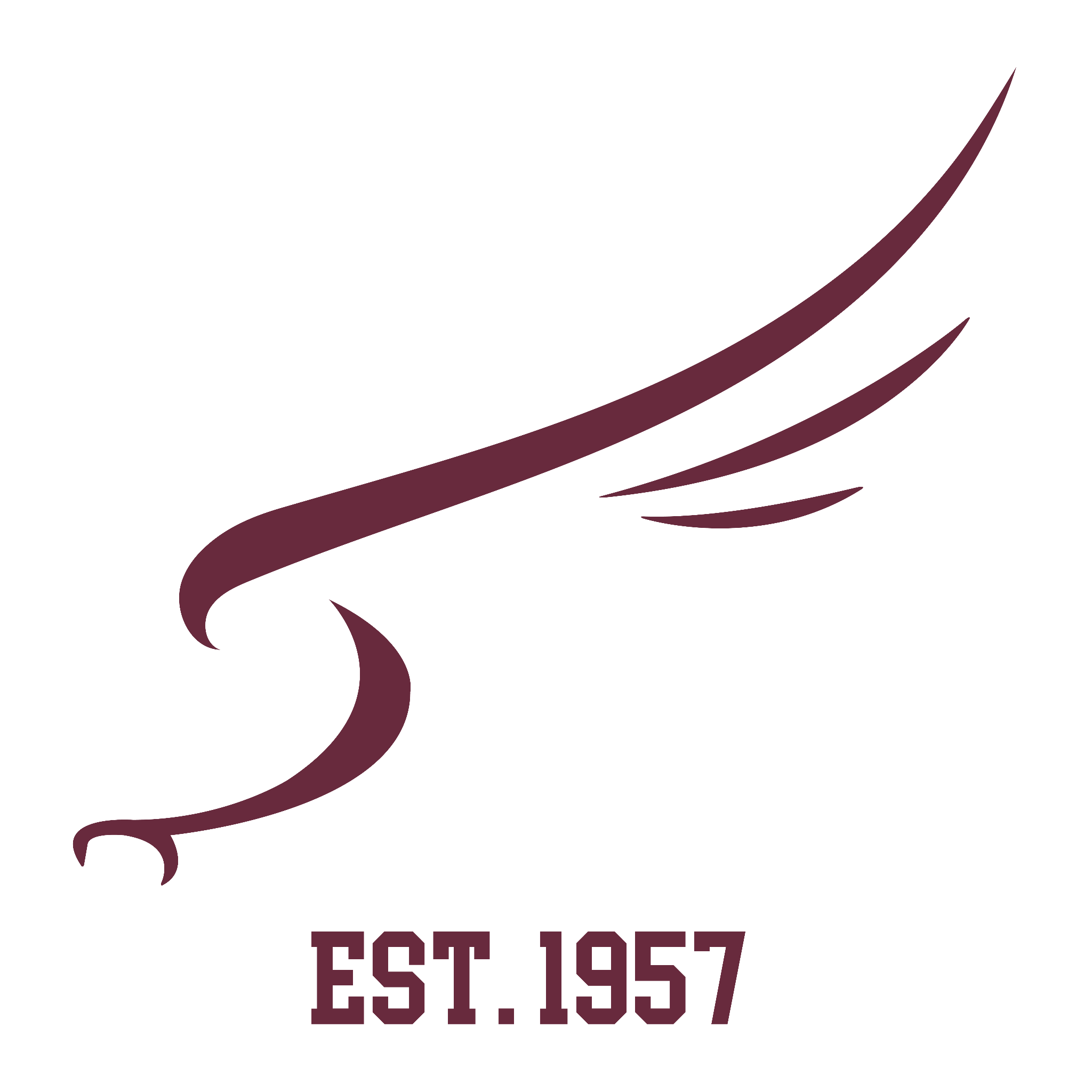 FSS FalconLogo 24x24 Garnet with Date 