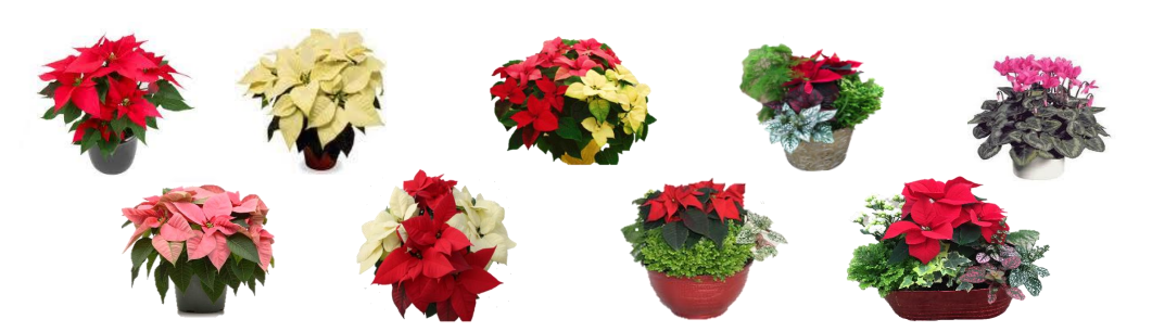 GetAttachmentThumbnail